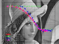 Take me to the software Anonymous Fingerprinting