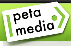 PetaMedia project